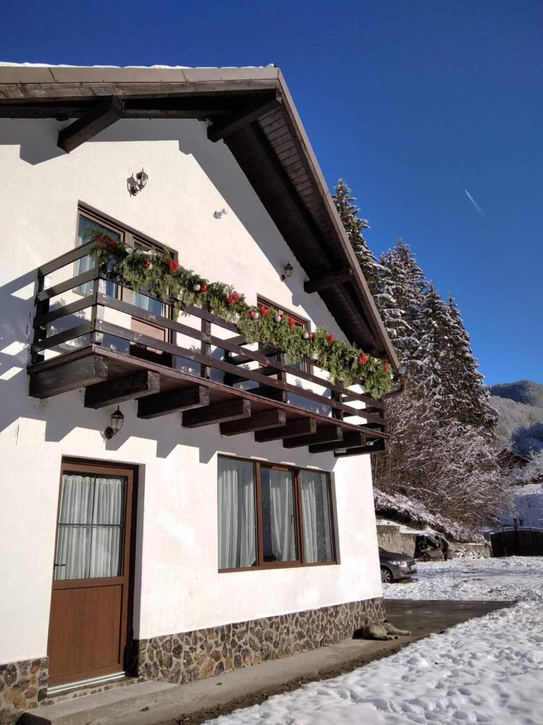 Casa Valea Prejbei Villa Rau Sadului Exterior photo